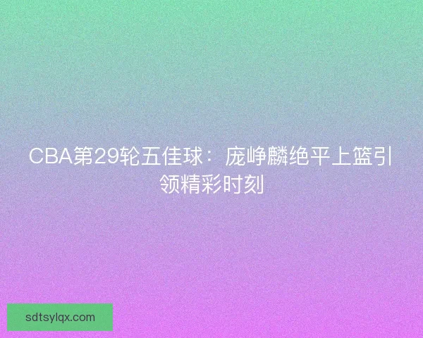 CBA第29轮五佳球：庞峥麟绝平上篮引领精彩时刻